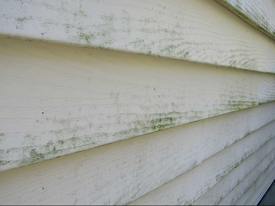 Mildew on siding is a sign you need to replace house siding.