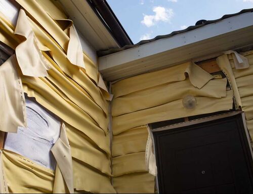 5 Compelling Reasons Why You Shouldn’t Choose Vinyl Siding for Your Home