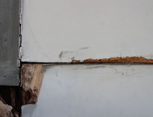 Rotten Exterior Window Trim & Door Trim Replacement